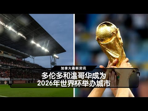 Potatoads,Pangos,玩具盘点,开云代理官网,开云代理,开云体育,开云代理合作,开云全站服务