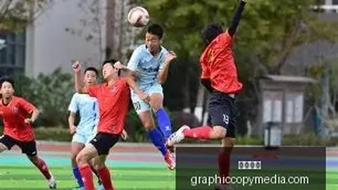 2026指南：奥马克大戏上演，黄金档对决真相
